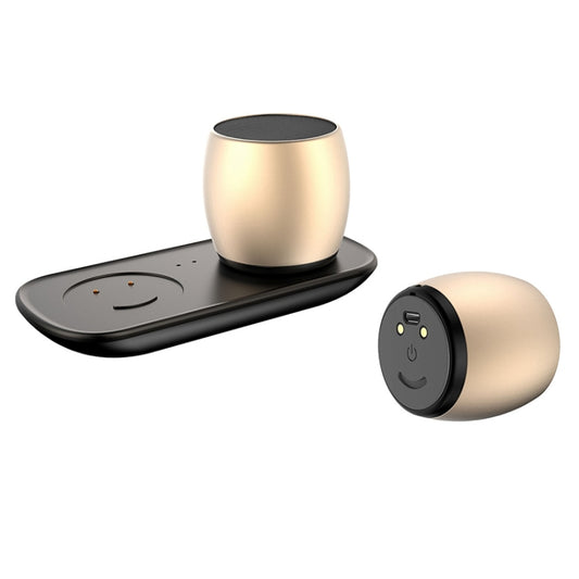 SARDiNE F1 Aluminium Alloy Stereo Wireless Bluetooth Speaker with Charging Dock, Support Hands-free(Gold) by SARDiNE
