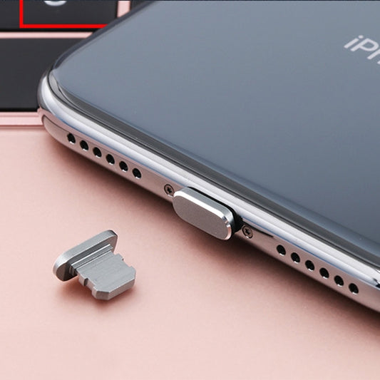 2pcs Universal 8 Pin Charging Port Metal Anti-Dust Plug for iPhone(Grey) by buy2fix