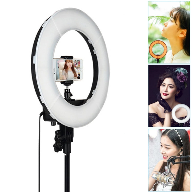 12 Inch Anchor Photography Self-timer LED Ring Fill-in Light - Ring Light by buy2fix | Online Shopping UK | buy2fix
