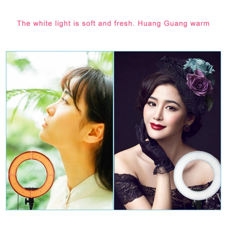 12 Inch Anchor Photography Self-timer LED Ring Fill-in Light - Ring Light by buy2fix | Online Shopping UK | buy2fix