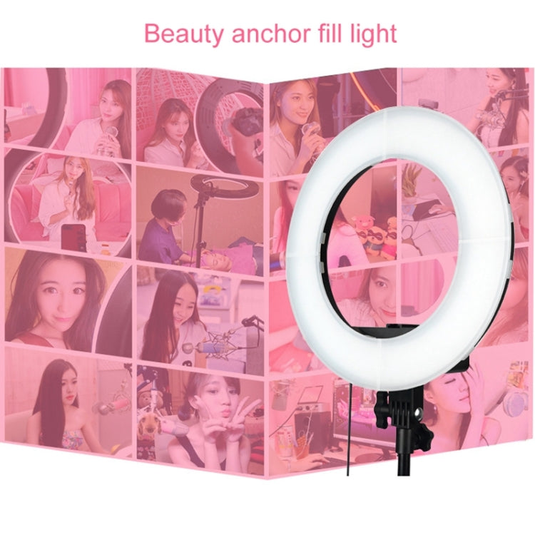 12 Inch Anchor Photography Self-timer LED Ring Fill-in Light - Ring Light by buy2fix | Online Shopping UK | buy2fix