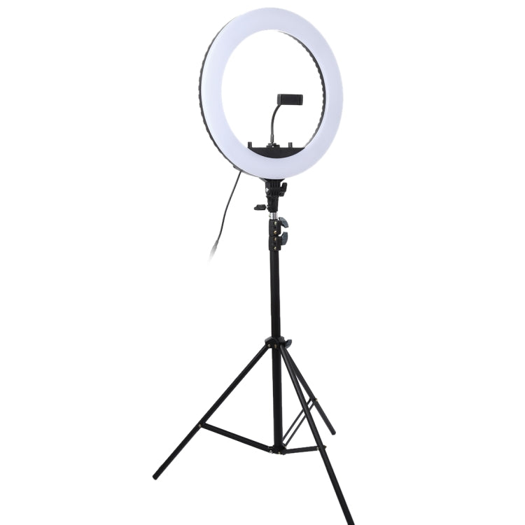 18 inch 55W Two-speed Dimmable Anchor Photography Self-timer LED Ring Fill-in Light with Tripod - Ring Light by buy2fix | Online Shopping UK | buy2fix