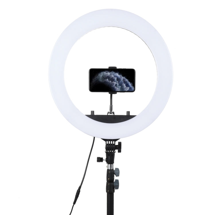 18 inch 55W Two-speed Dimmable Anchor Photography Self-timer LED Ring Fill-in Light with Tripod - Ring Light by buy2fix | Online Shopping UK | buy2fix