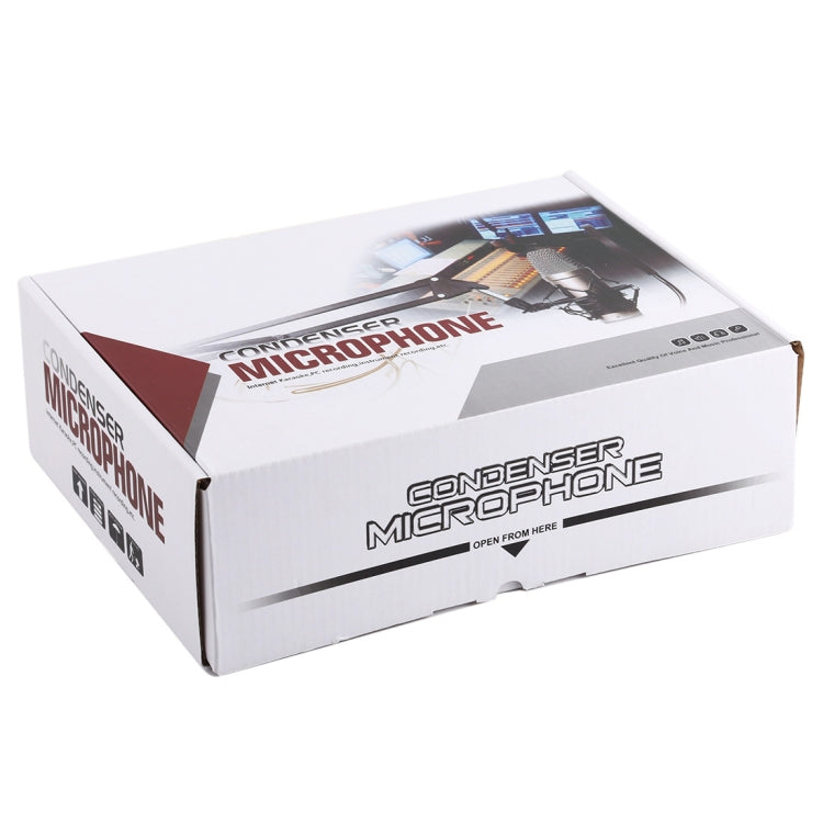 BM-700 USB Professional Condenser Microphone - Microphone by buy2fix | Online Shopping UK | buy2fix
