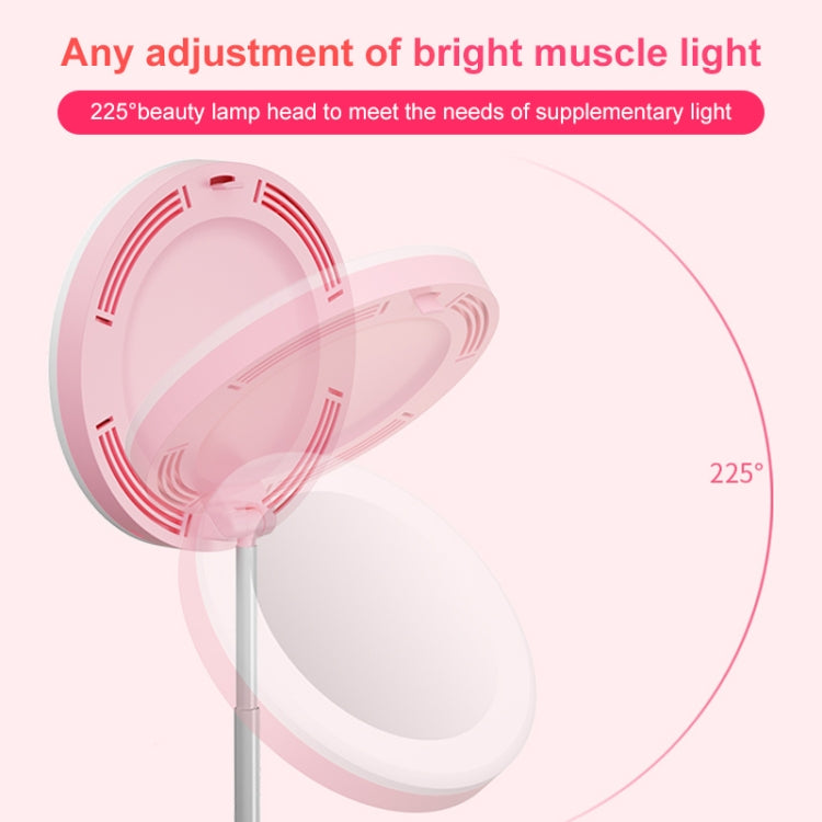 G6 Multi-function Live Broadcast All-in-one Ring Beauty Fill Light Mobile Phone Holder (Black) - Ring Light by buy2fix | Online Shopping UK | buy2fix