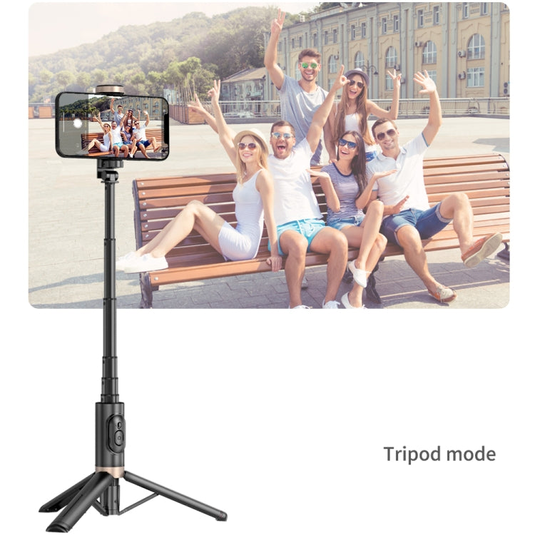 Q12 Hidden Design Reinforced Bluetooth Remote Control Tripod Selfie Stick (Black) by buy2fix