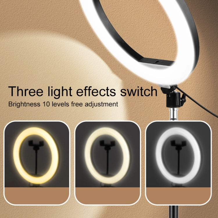 10 inch Adjustable Live Broadcast LED Fill Light Tripod with Phone Clamp - Ring Light by buy2fix | Online Shopping UK | buy2fix