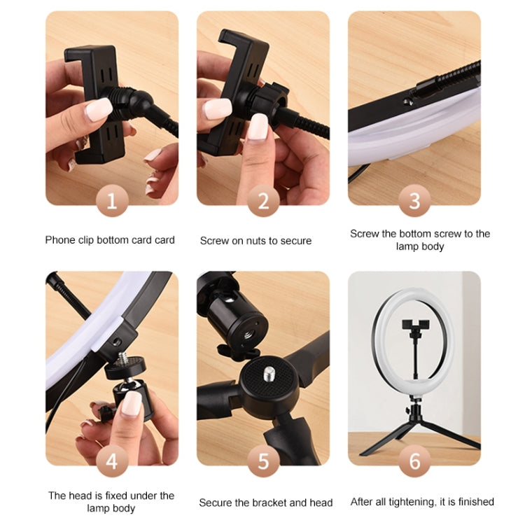 10 inch Adjustable Live Broadcast LED Fill Light Tripod with Phone Clamp - Ring Light by buy2fix | Online Shopping UK | buy2fix