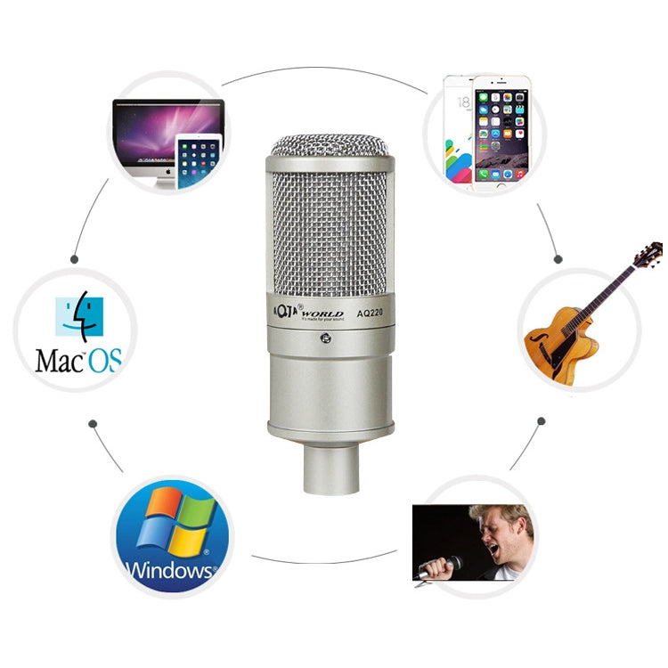 AQ-220 K Song Live Recording Noise Reduction Capacitor Microphone - Microphone by buy2fix | Online Shopping UK | buy2fix