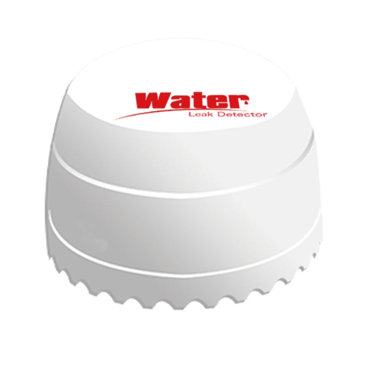 DY-SQ100B Water Leakage Detector with Two Sensors(White) - Water Leakage Alarm by buy2fix | Online Shopping UK | buy2fix