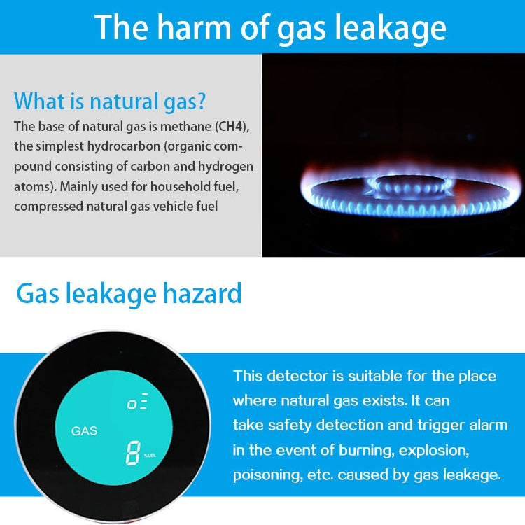PA-210W WiFi + Tuya Gas Alarm by buy2fix