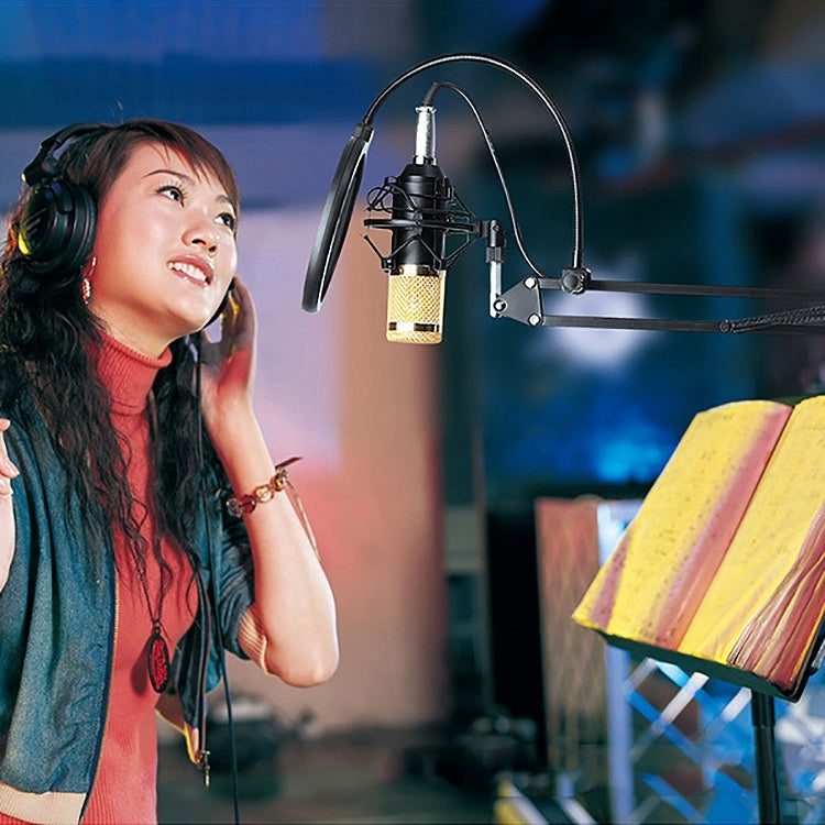 BM-800 3.5mm Studio Recording Wired Condenser Sound Microphone with Shock Mount, Compatible with PC / Mac for Live Broadcast Show, KTV, etc.(Blue) by buy2fix