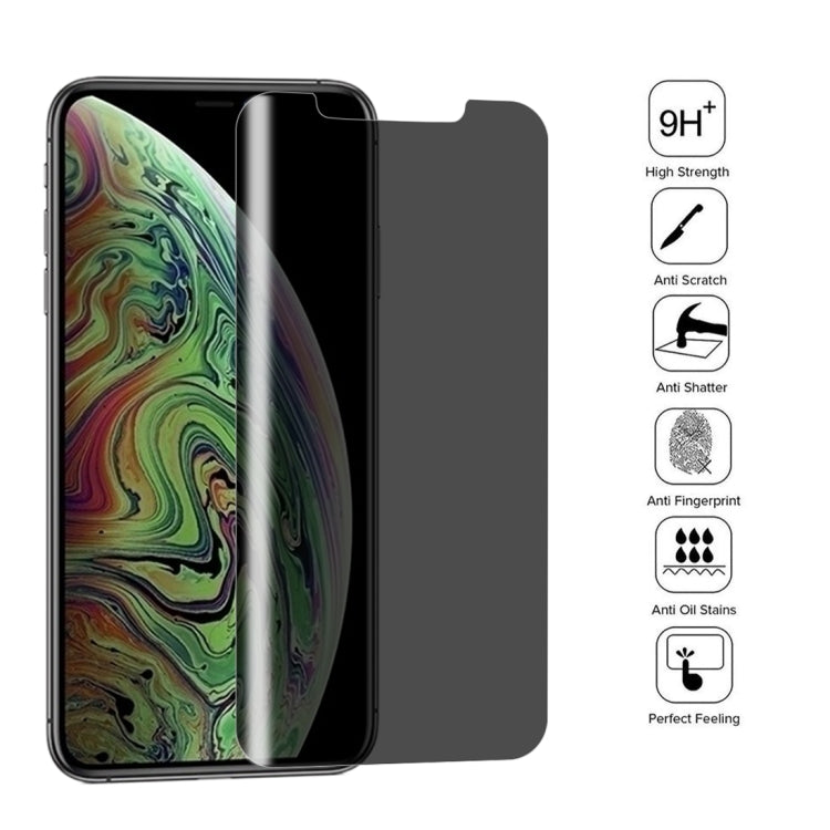 For iPhone XS Max 0.4mm 9H Surface Hardness 180 Degree Privacy Anti Glare Screen Protector - iPhone XS Max Tempered Glass by buy2fix | Online Shopping UK | buy2fix
