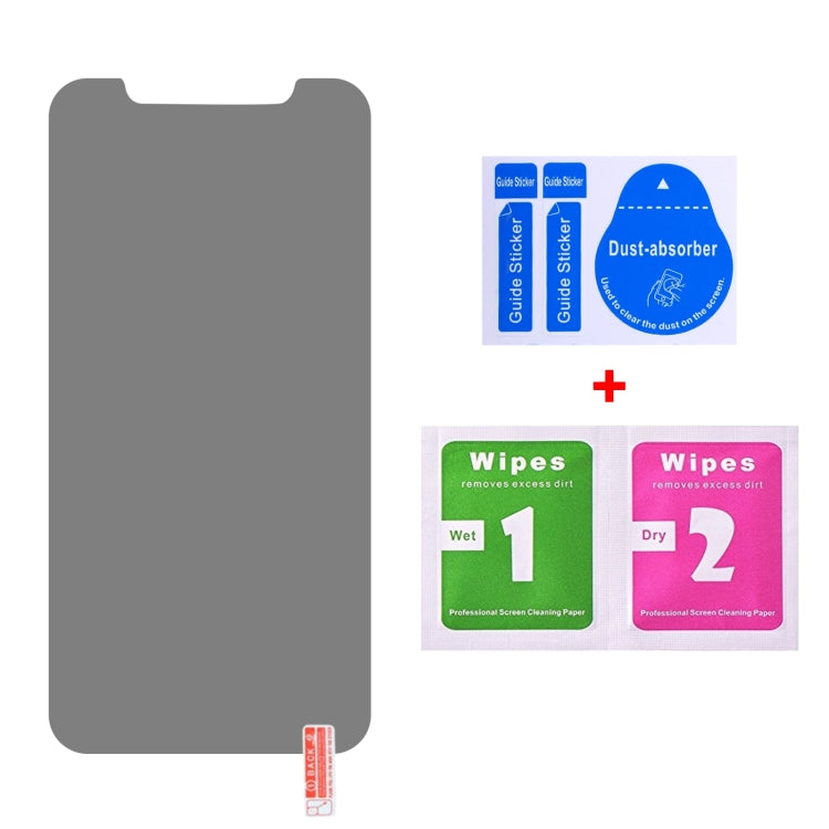 For iPhone XR 0.4mm 9H Surface Hardness 180 Degree Privacy Anti Glare Screen Protector - iPhone XR Tempered Glass by buy2fix | Online Shopping UK | buy2fix
