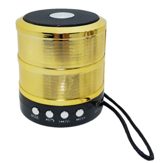 WS-887 Bluetooth Speaker with Lanyard, Support Hands-free Call & FM & U Disk & TF Card & AUX(Gold) by buy2fix