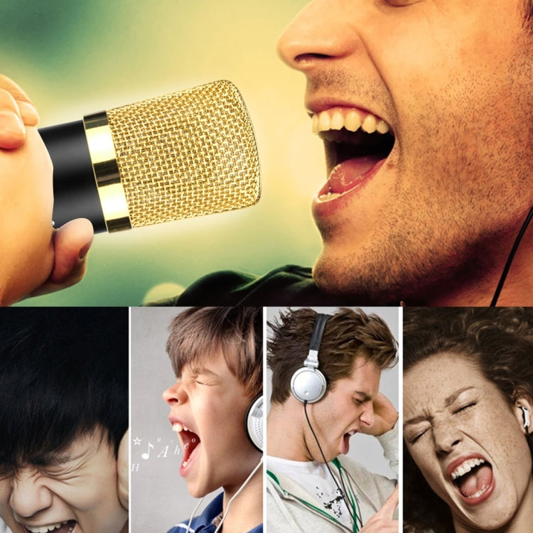 FIFINE F-700 Professional Condenser Sound Recording Microphone with Shock Mount for Studio Radio Broadcasting & Live Boardcast, 3.5mm Earphone Port, Cable Length: 2.5m(Black) by buy2fix