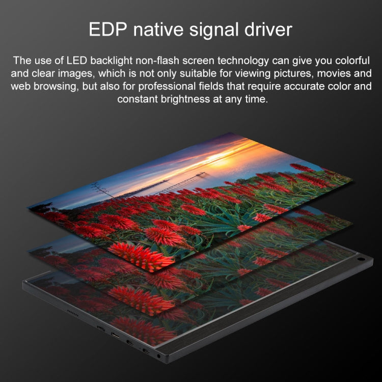 15.6 inch 1080P 178 Degree Wide Angle HD Portable IPS LED Display Monitor - 15 inch Above by buy2fix | Online Shopping UK | buy2fix