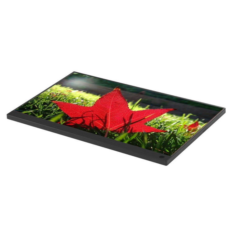15.6 inch 1080P 178 Degree Wide Angle HD Portable IPS LED Display Monitor - 15 inch Above by buy2fix | Online Shopping UK | buy2fix