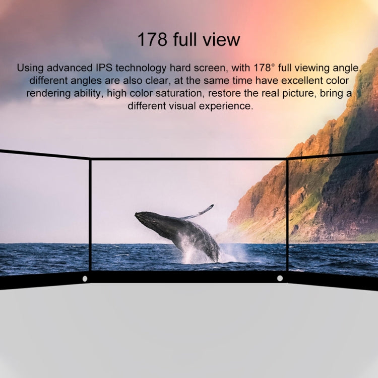 15.6 inch 1080P 178 Degree Wide Angle HD Portable IPS LED Display Monitor - 15 inch Above by buy2fix | Online Shopping UK | buy2fix