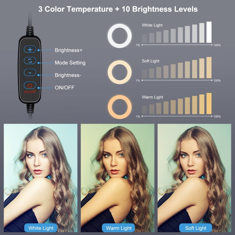 PULUZ 4.7 inch 12cm Ring Light Horizontal Dual Phone Brackets Desktop Holder Video Light Kits - Ring Light by PULUZ | Online Shopping UK | buy2fix