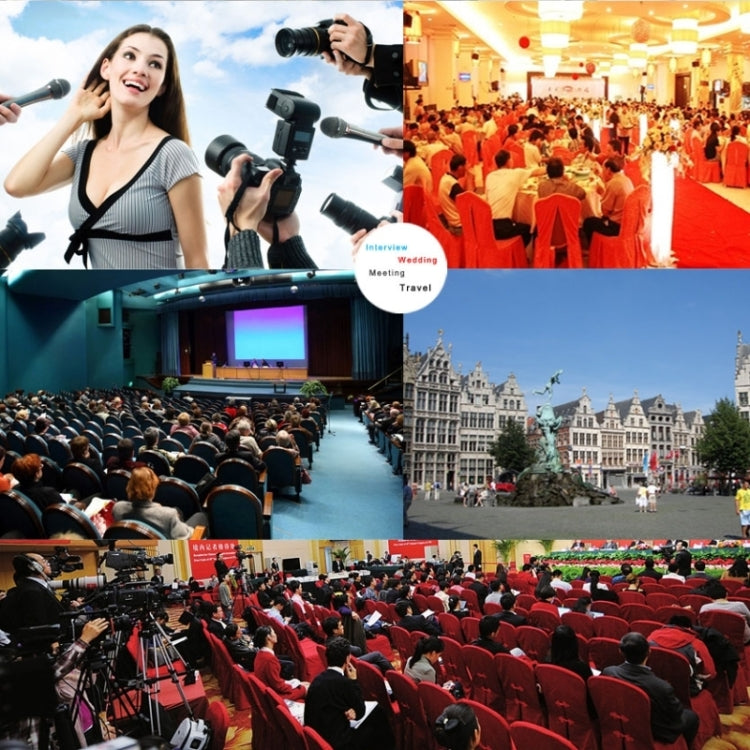 TAKSTAR SGC-598 Professional Photography Interview Dedicated Microphone for DSLR & DV Camcorder - Camera Microphone by buy2fix | Online Shopping UK | buy2fix