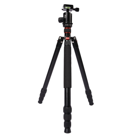 Triopo MT-2804C Adjustable Portable Aluminum Tripod (Gold) with NB-2S Ball Head (Black) for Canon Nikon Sony DSLR Camera by TRIOPO