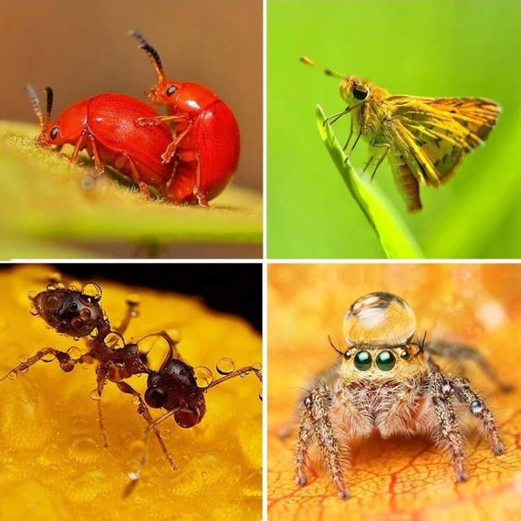 6 in 1 58mm Close-Up Lens Filter Macro Lens Filter + Filter Adapter Ring for GoPro HERO3 by buy2fix