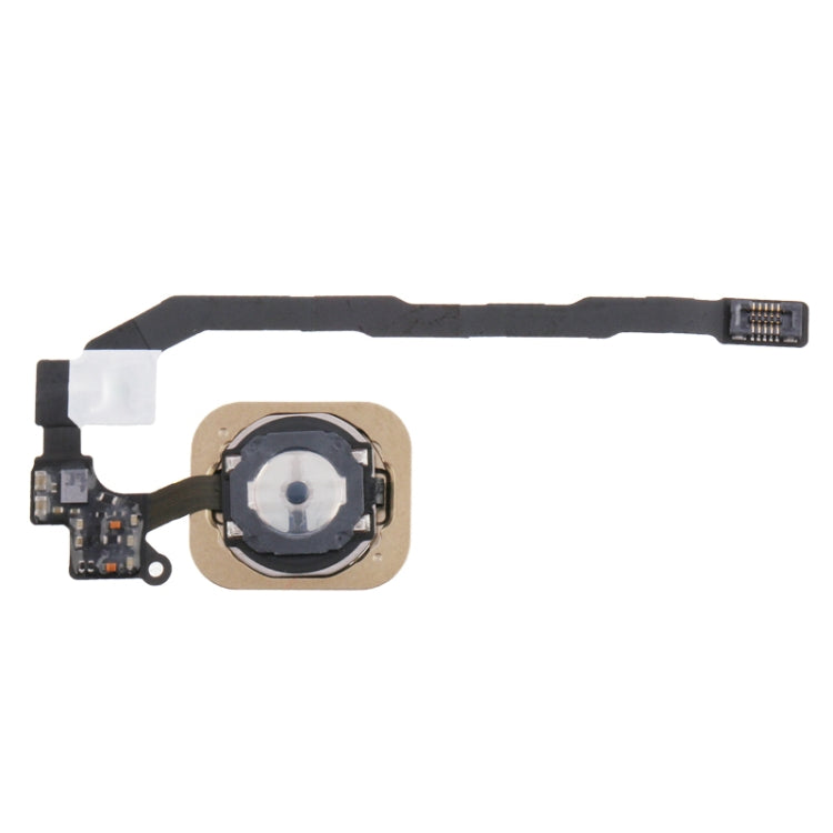 Home Key Button with PCB Membrane Flex Cable for iPhone 5S , No Fingerprint Identification Function(Gold) by buy2fix