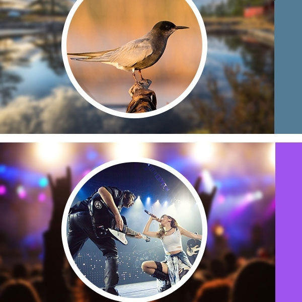 Universal 12X Zoom Optical Zoom Telescope Lens with Clip by buy2fix