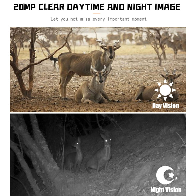 PR700 1080P Wildlife Hunting Camera Motion Activated Night Vision Camcorder for Outdoor Tracking Scan Trigger by buy2fix