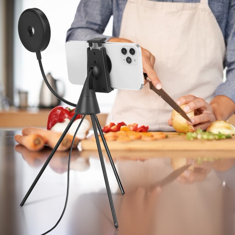 NS-08 LED Dimmable Ring Lamp with Phone Tripod Stand Holder by buy2fix