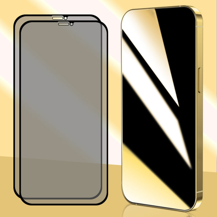 For iPhone 11 / XR 2pcs ENKAY Hat-Prince 25 Degree Privacy 8K UHD AGC Tempered Glass Film - iPhone 11 Tempered Glass by ENKAY | Online Shopping UK | buy2fix