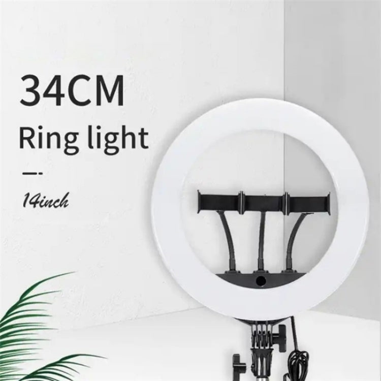 JMARY FM-14R Photography Light 14-inch Live Streaming Ring Light Photography LED Fill Light(EU Plug) - by Jmary | Online Shopping UK | buy2fix