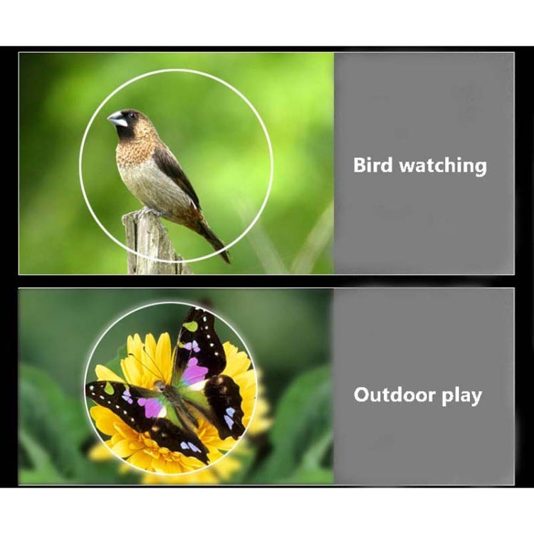 NIKULA 10x22 Low Light Level Visual Binoculars by NIKULA