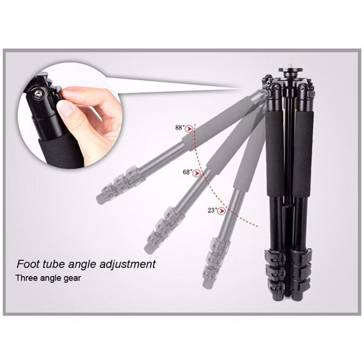 Q620 4-Section Folding Legs Heavy Duty Aluminum Alloy Tripod With Three-Dimensional Damping Tripod Heads - Tripods by buy2fix | Online Shopping UK | buy2fix