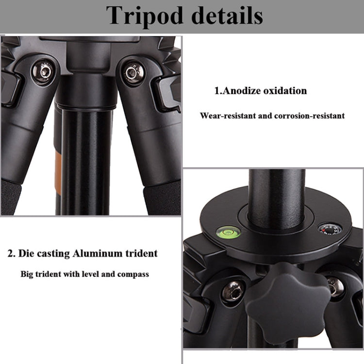 Q620 4-Section Folding Legs Heavy Duty Aluminum Alloy Tripod With Three-Dimensional Damping Tripod Heads - Tripods by buy2fix | Online Shopping UK | buy2fix