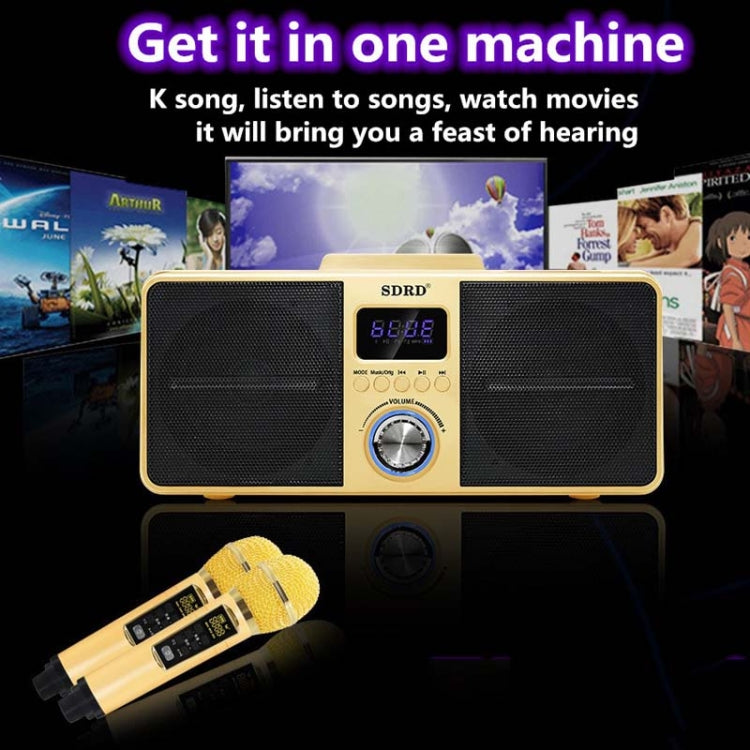 SDRD SD309 Wireless Microphone Bluetooth Audio All-In-One Machine(Black) - Microphone by buy2fix | Online Shopping UK | buy2fix