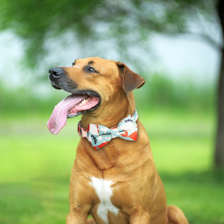 Rose Gold Buckle Pet Detachable Bow Collar, Size: XL 2.5x43-70cm(Blue Bellland) - Collars by buy2fix | Online Shopping UK | buy2fix