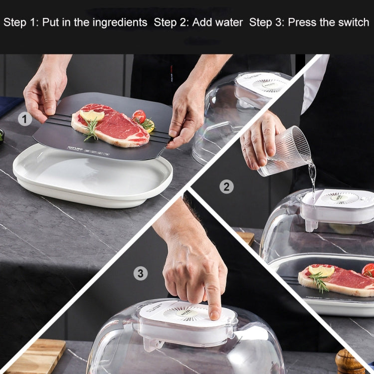 Frozen Food Quick Thaw Tray Thaw Plate(Golden) by buy2fix