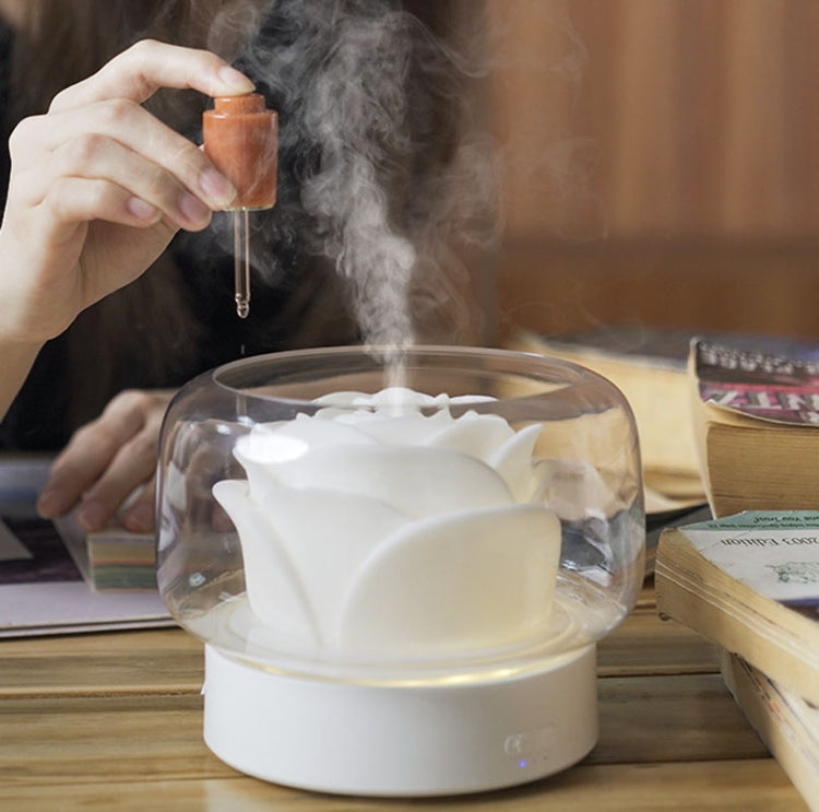 400ml Rose Aromatherapy Diffuser Timing Humidifier with Seven-color Light,CN Plug(White) by buy2fix