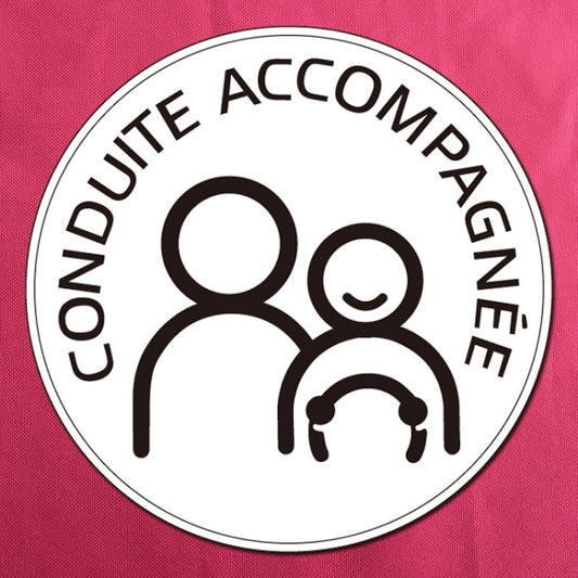 20pcs Dual People Waterproof And Sun Protection Magnetic Car Sticker(15cm) by buy2fix