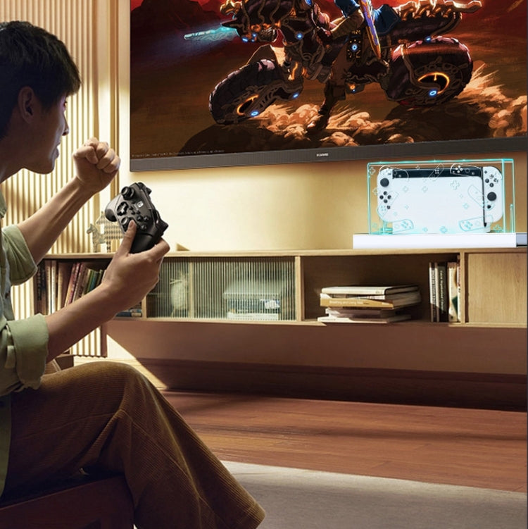 035 for Nintendo Switch/Oled Game Console Display Dustproof Cover, Spec: Black Label by buy2fix