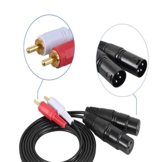 2RCA To 2XLR Speaker Canon Cable Audio Balance Cable, Size: 1m(Dual Lotus To Dual Canon Male) by buy2fix