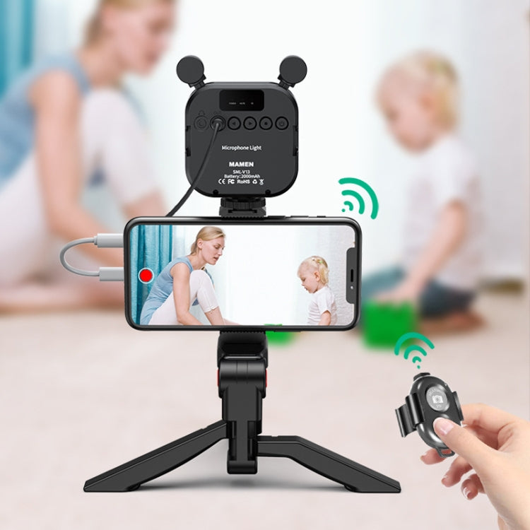KIT-11LM Tripod Fill Light With Microphone Vlogging Kit For Live Phone Recording(Black) by buy2fix