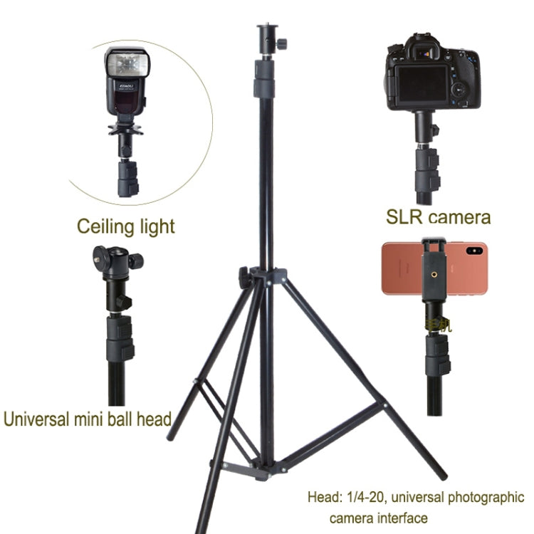 BEXIN LSC05 Camera Light Stand Conversion Head 1/4-inch mount for Umbrella Holder by BEXIN