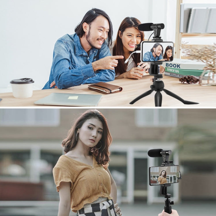 Video Recording Live Camera Mobile Conference Recording Microphone(Black) by buy2fix