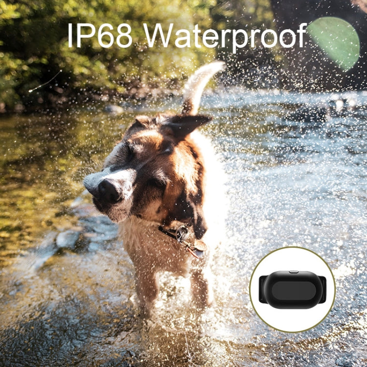 Dog Training Collar Smart 400m Remote Control Pet Training Device, Specification: T300 - Training Aids by buy2fix | Online Shopping UK | buy2fix