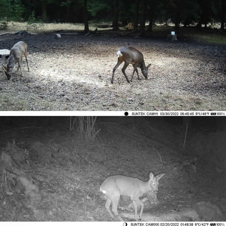 Suntek WiFi830 APP+WiFi 24MP Infrared Tracking Camera Wireless Bluetooth Control by Suntek