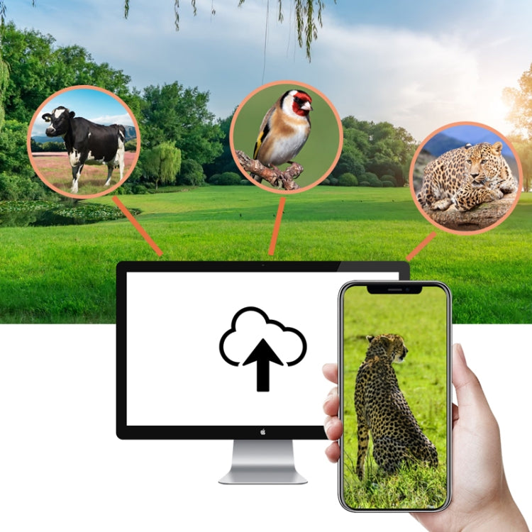 HC-940Pro-Li 4K 4G Outdoor Track Camera Remote Mobile Phone Control To View Photos / Video At Any Time by buy2fix