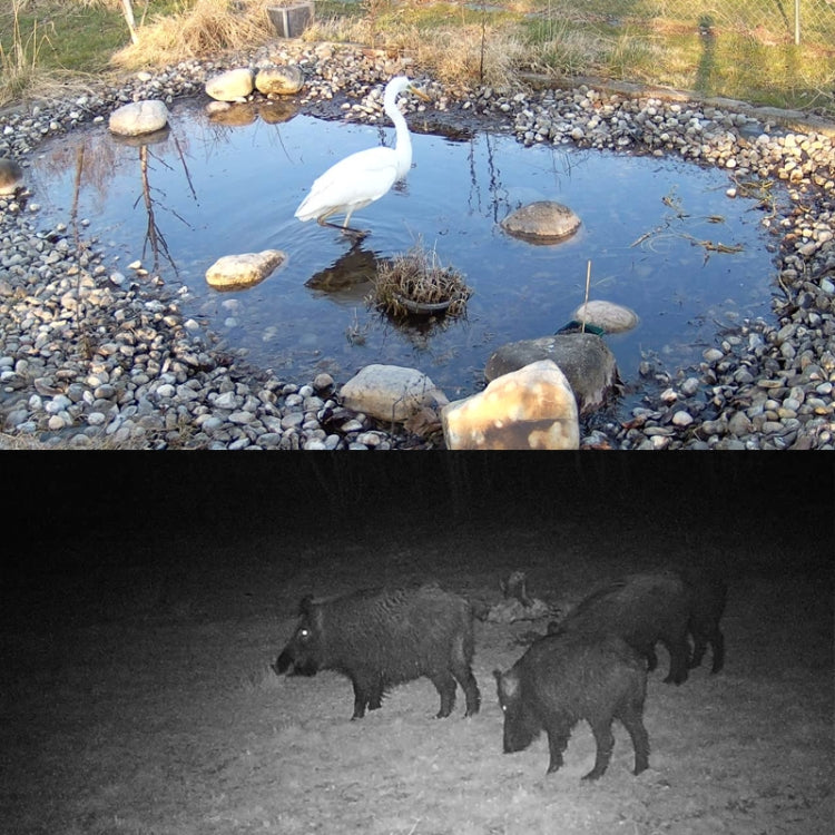 HC-801Pro 4K 4G Outdoor Hunting Camera App Remote Mobile Phone Control To View Photos And Video At Any Time, EU Plug by buy2fix